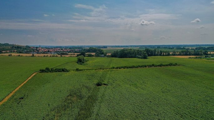 Prodej, Ovocný sad, Zaječí