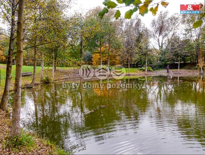 Pronájem, Byt 3+kk, Dolní Břežany