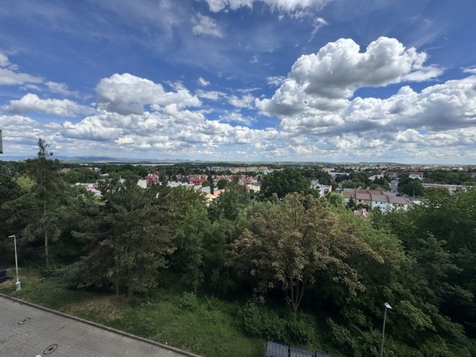 Pronájem, Byt 1+1, Jirkov