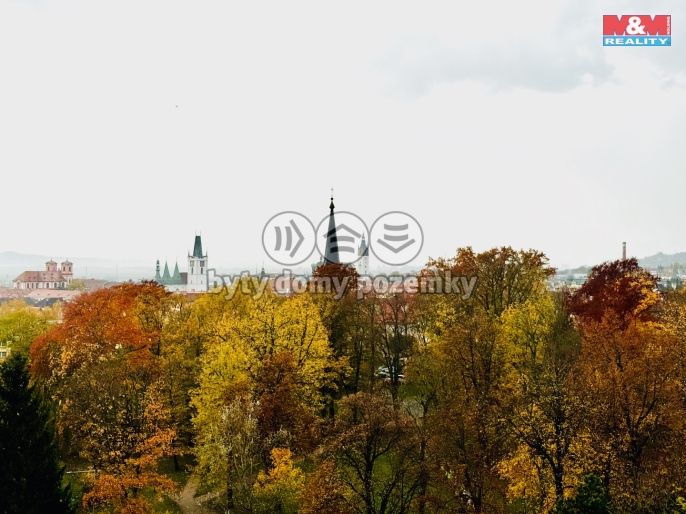 Prodej, Byt 1+1, Litoměřice