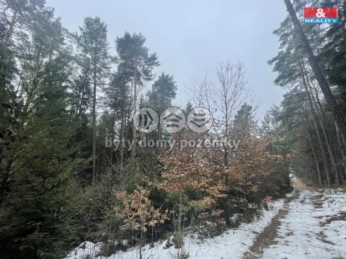 Prodej, Les, Záhoří