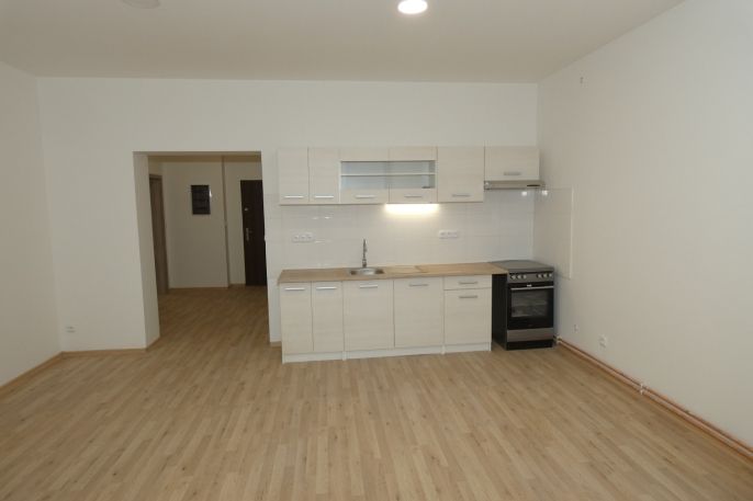 Prodej, Nájemní dům, Žleby