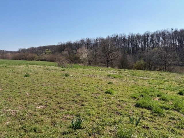 Prodej, Komerční pozemky, Stará Ves nad Ondřejnicí