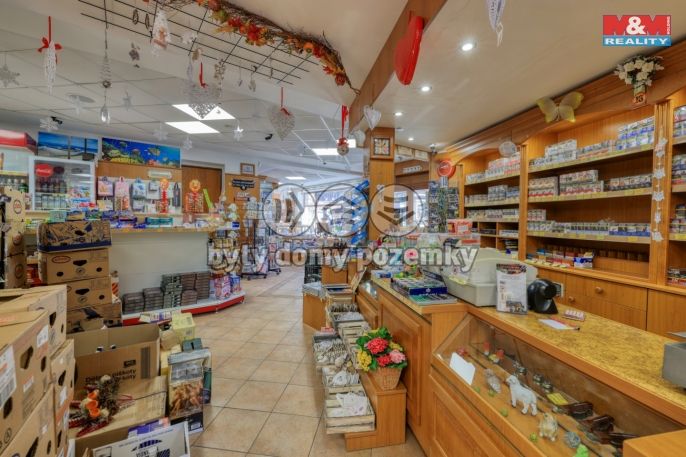 Pronájem, Obchod a služby, Železná Ruda