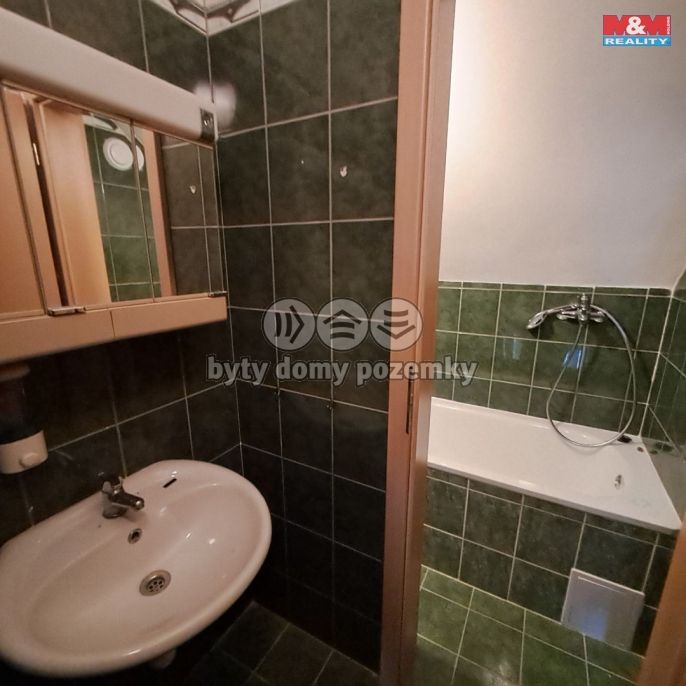 Pronájem, Obchod a služby, Břidličná