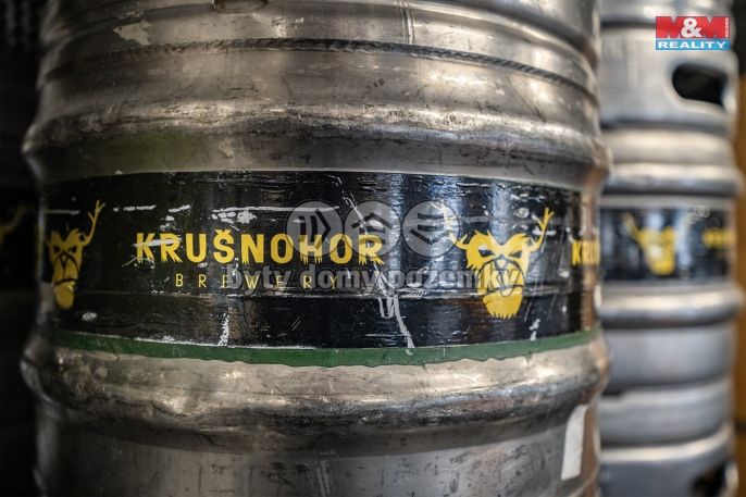 Prodej, Obchodní objekt, Kraslice