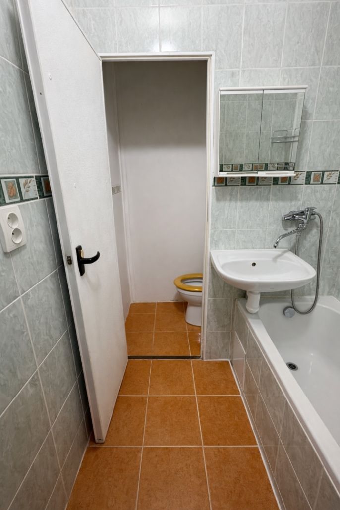 Pronájem, Byt 1+kk, Ostrava