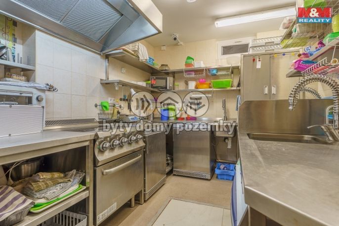 Prodej, Nájemní dům, Karlovy Vary