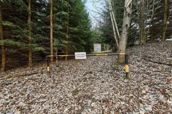 Prodej, Ostatní, Královec