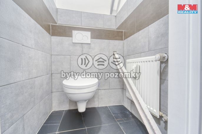 Pronájem, Obchodní objekt, Třemošná