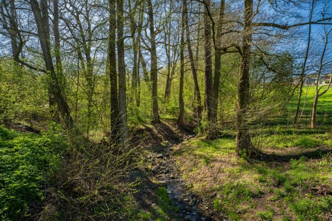 Prodej, Zahrada, Děčín