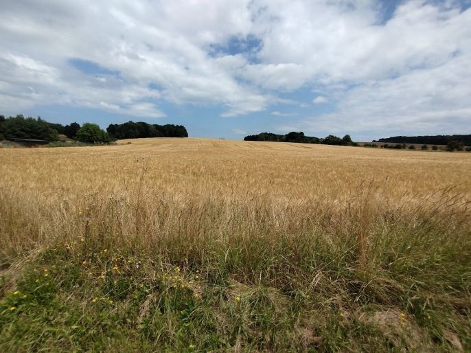 Prodej, Pozemek k bydlení, Stará Ves nad Ondřejnicí