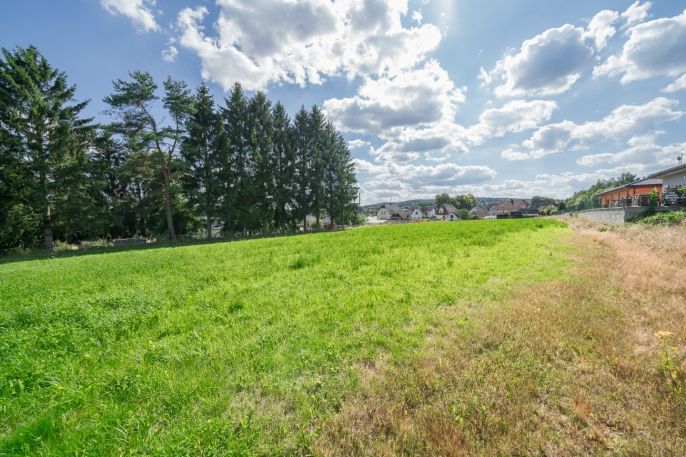 Prodej, Ostatní, Plesná