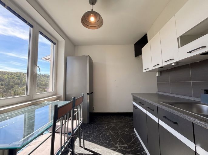 Pronájem, Byt 1+1, Benešov nad Ploučnicí