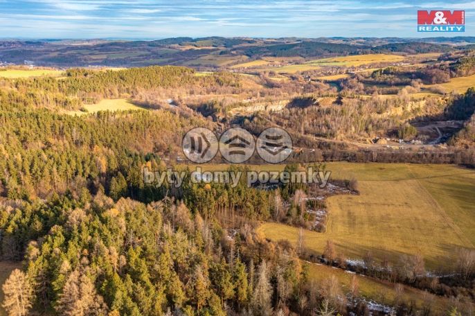 Prodej, Les, Malenice