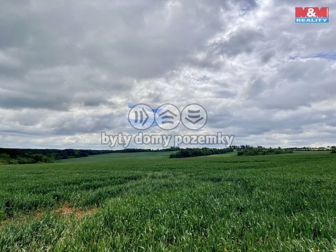 Prodej, Pole, Měcholupy