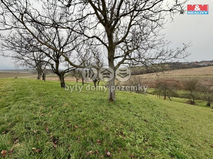 Prodej, Zahrada, Bezuchov