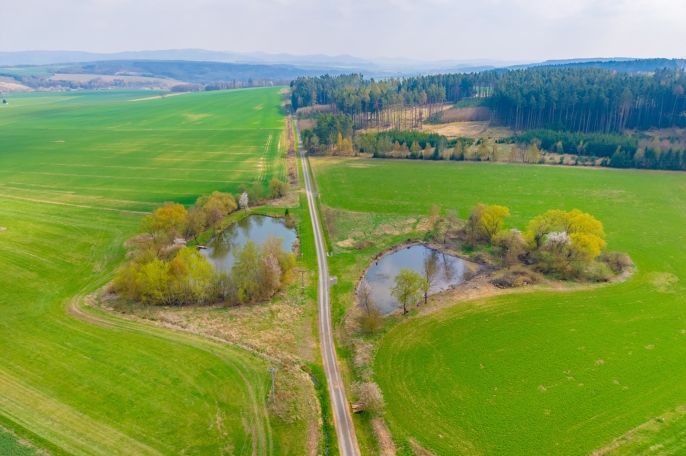 Prodej, Pozemek k bydlení, Horšovský Týn