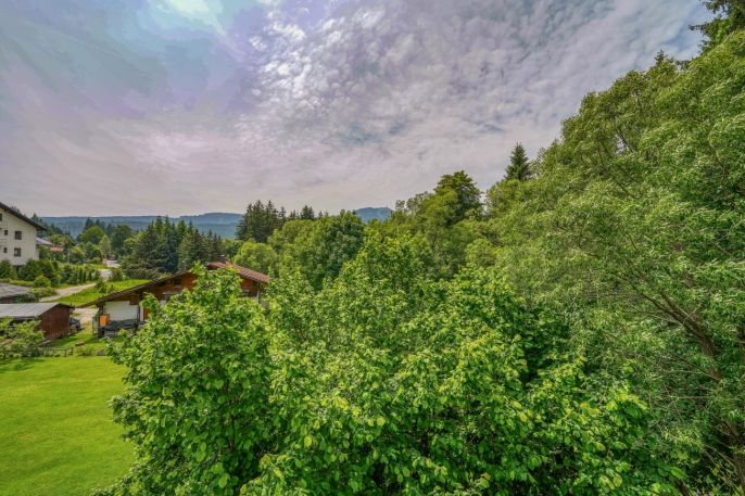 Pronájem, Byt 2+kk, Železná Ruda