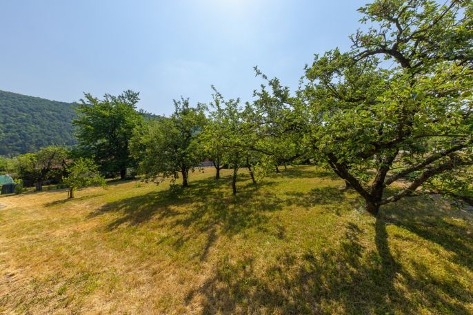 Prodej, Rodinný dům, Nedvědice
