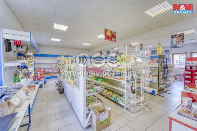 Pronájem, Obchod a služby, Bor