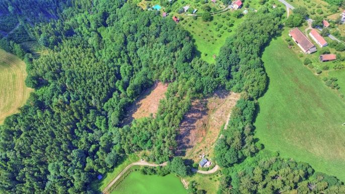 Prodej, Les, Ohnišov
