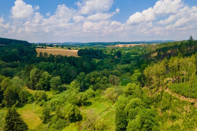 Prodej, Ostatní, Přešťovice