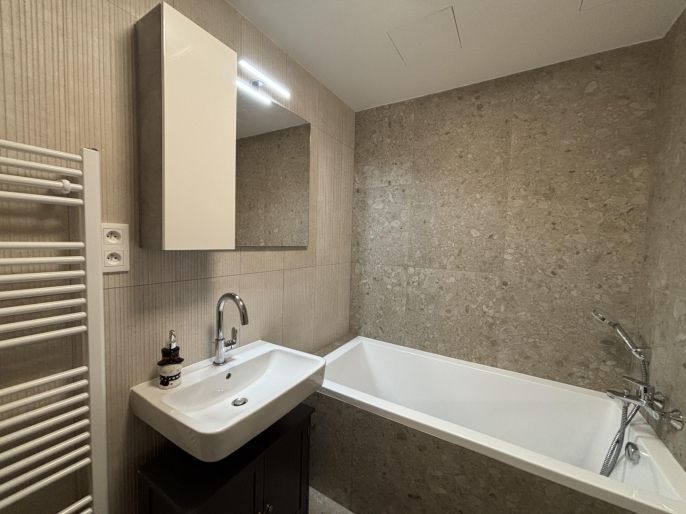 Pronájem, Byt 1+kk, Brandýs nad Labem-Stará Boleslav