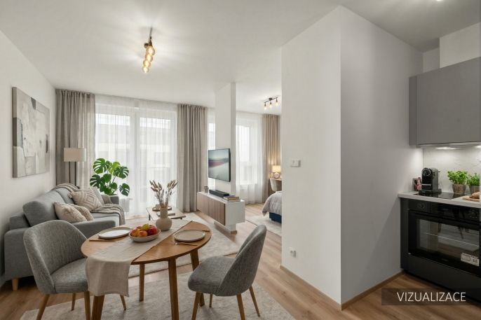 Pronájem, Byt 1+kk, Kralupy nad Vltavou