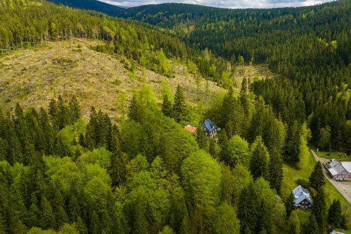 Prodej, Louka, Harrachov