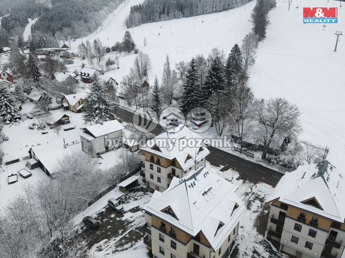 Prodej, Byt 1+1, Deštné v Orlických horách