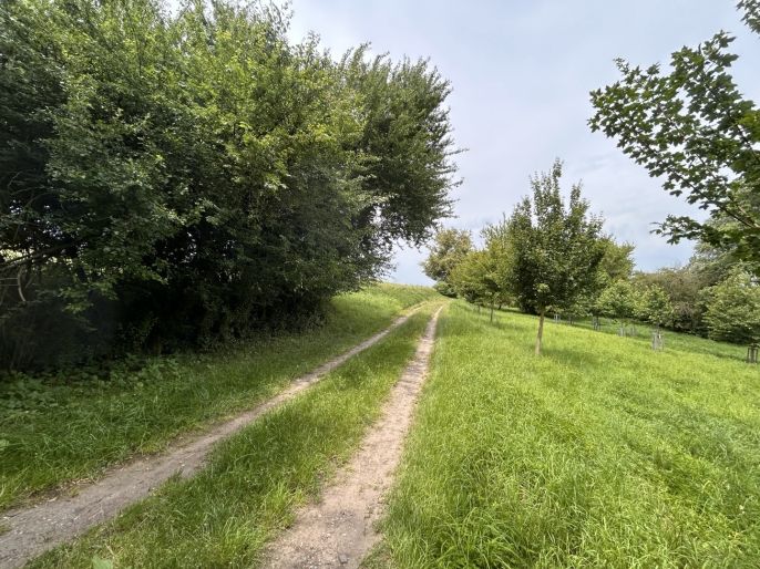 Prodej, Pole, Prostějov