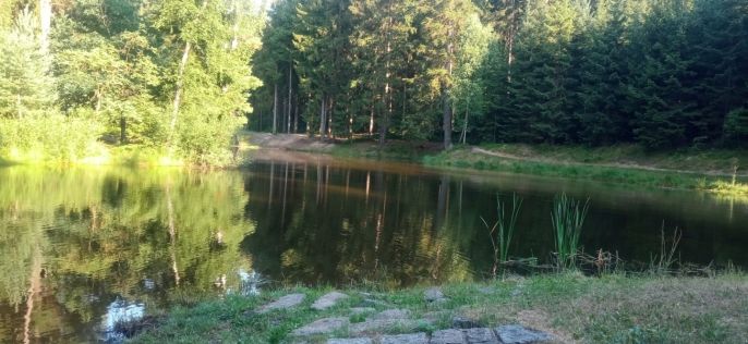 Prodej, Ostatní, Dlouhý Most