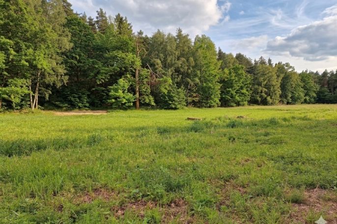 Prodej, Louka, Bor
