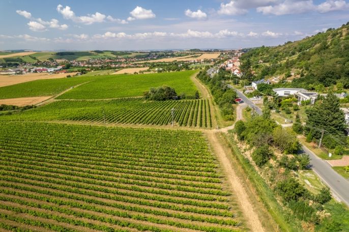 Prodej, Pozemek k bydlení, Viničné Šumice