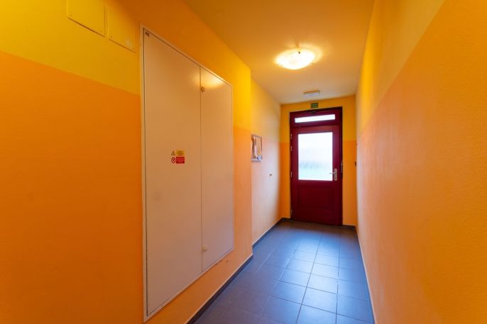 Pronájem, Byt 1+1, Šenov u Nového Jičína