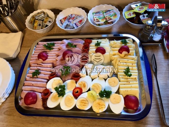 Prodej, Hotel, penzion, Česká Skalice