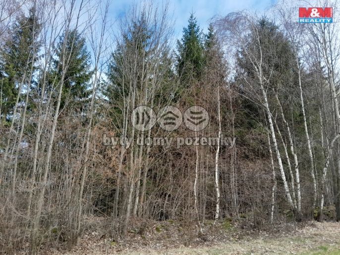 Prodej, Les, Zálezly