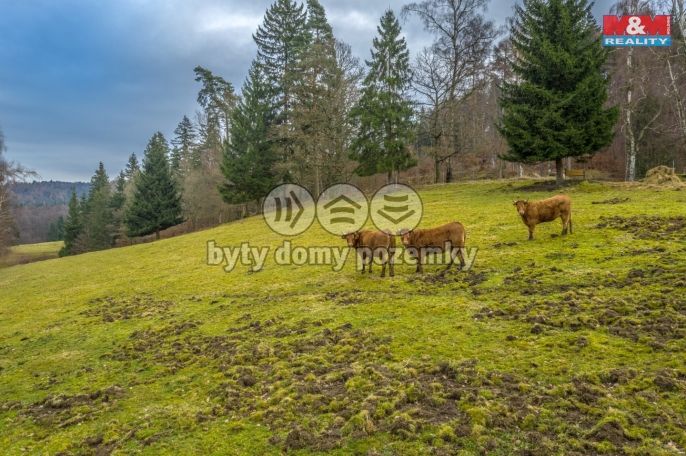 Prodej, Pozemek k bydlení, Chřibská