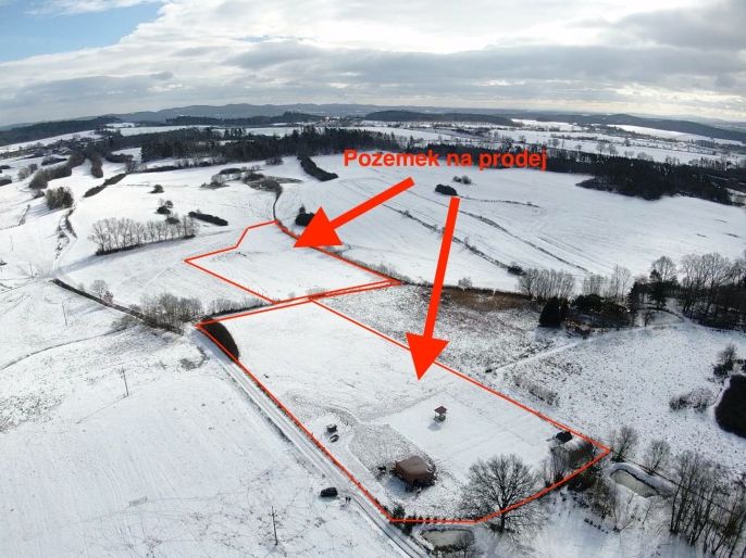 Prodej, Pastvina, Předotice