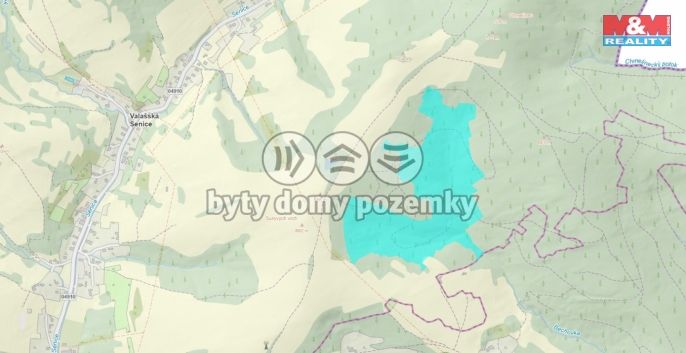 Prodej, Ostatní, Valašská Senice