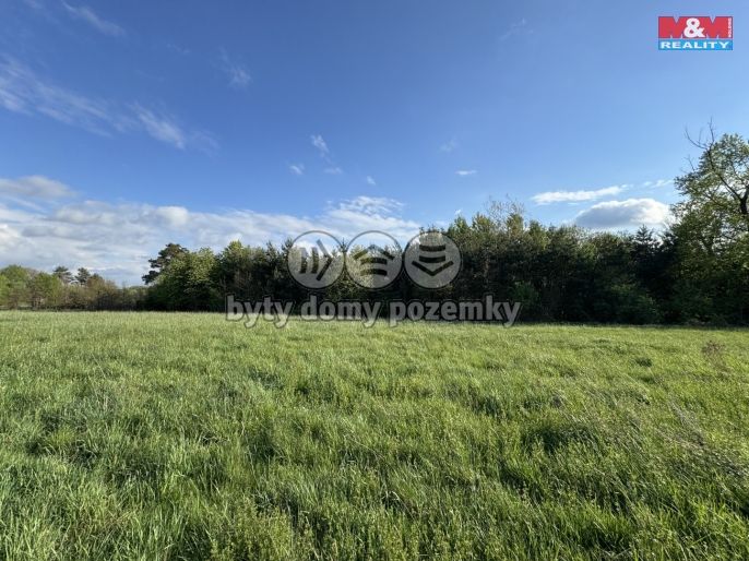 Prodej, Komerční pozemky, Homole