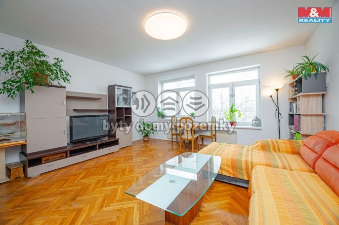 Prodej, Byt 3+1, Opočno