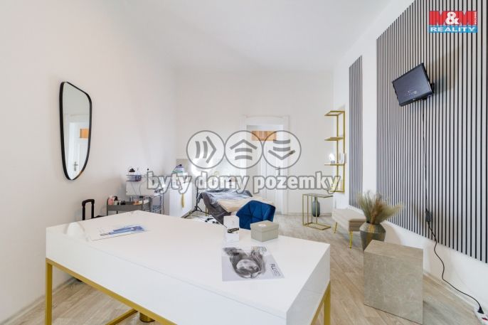 Pronájem, Obchod a služby, Plzeň