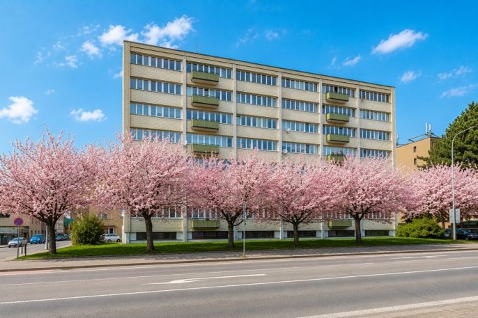 Prodej, Byt 3+1, Náchod