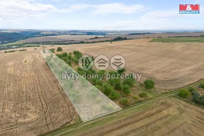Prodej, Ovocný sad, Kralupy nad Vltavou