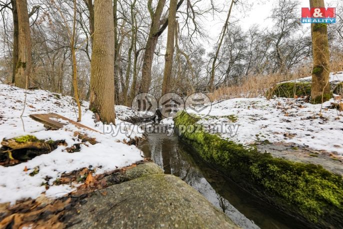 Prodej, Rodinný dům, Měčín