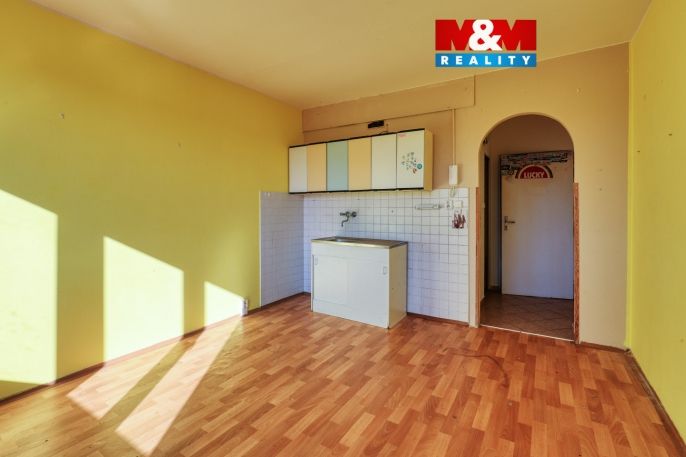 Prodej, Byt 1+kk, Nové Sedlo