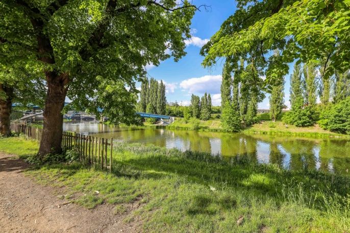 Pronájem, Byt 1+kk, Plzeň