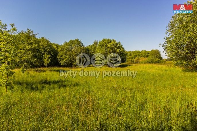 Prodej, Pole, Krásná Lípa